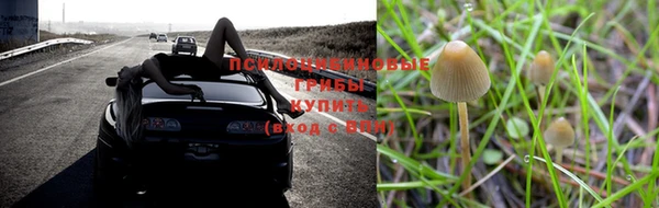 гашик Армянск