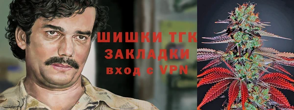 прущие грибы Осинники