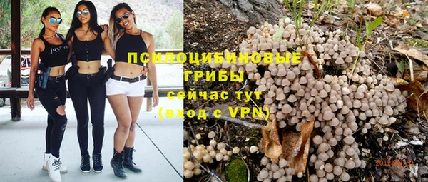 гашик Армянск